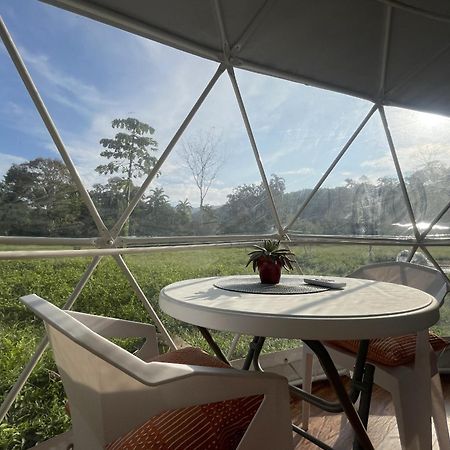 La Comarca River Glamping Dome Near Мануэль-Антонио Экстерьер фото
